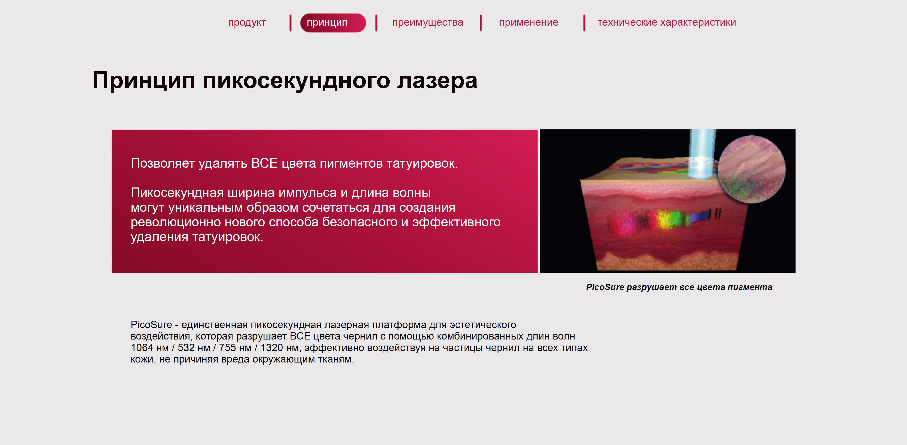 Микроскопическое изображение воздействия на кожу Микроскопическое изображение воздействия на кожу